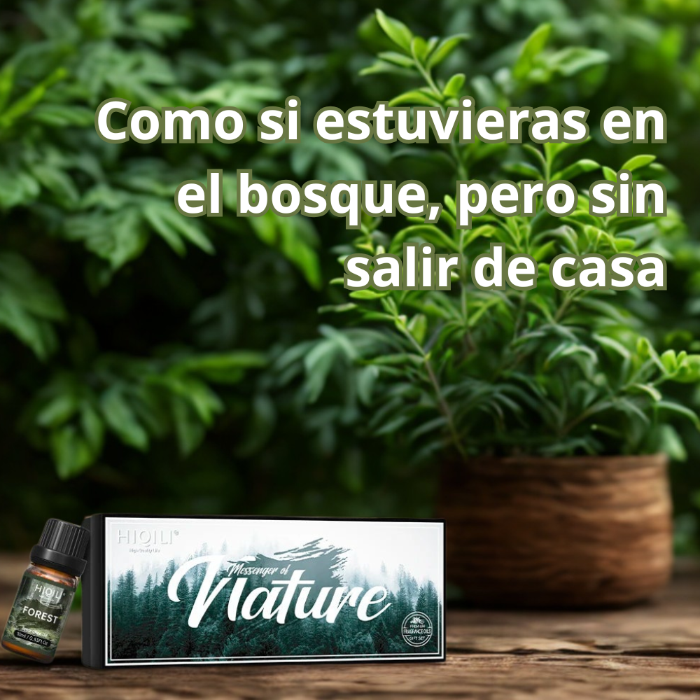 Aromas de la Naturaleza - Set de 6 Aceites Esenciales Naturales Premium