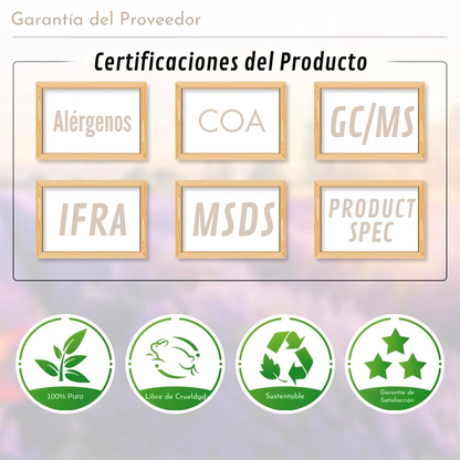 Aromas de la Naturaleza - Set de 6 Aceites Esenciales Naturales Premium